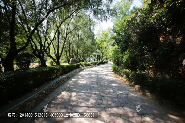 林蔭大道
