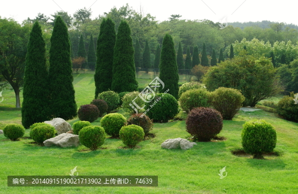 公園景色