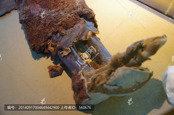 千年干尸