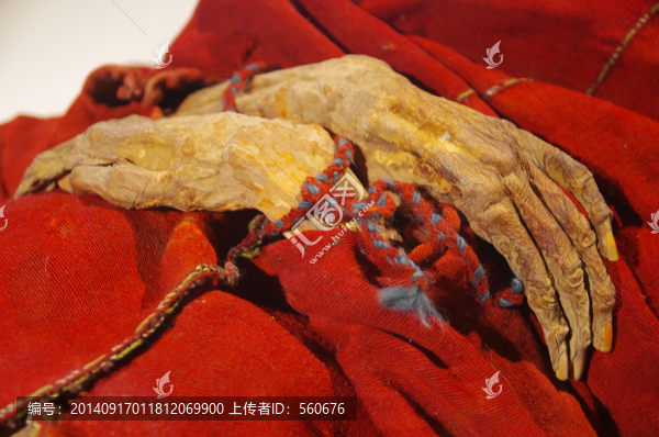 干尸