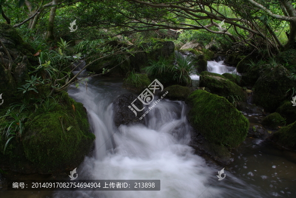 清泉溪流
