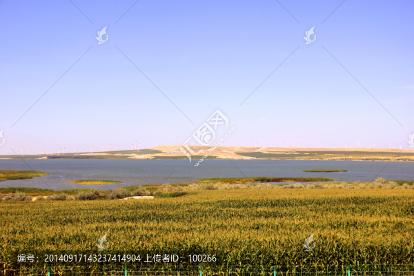 玉米地,河流