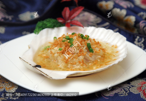扇貝皇