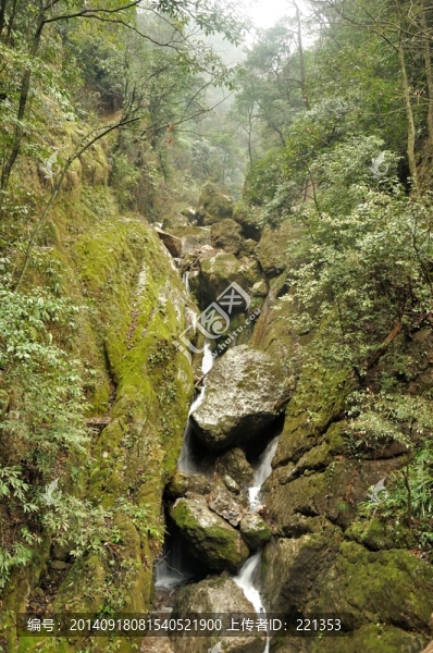青城后山,風(fēng)景