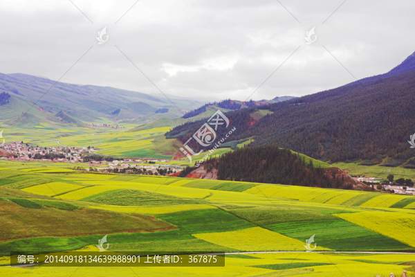 卓爾山景色