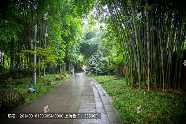 竹