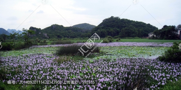 山水