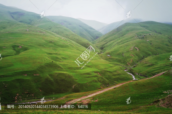 草原風(fēng)景