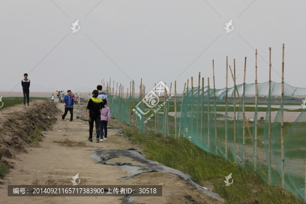 通向海邊的路