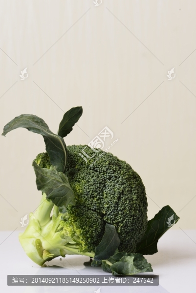 西蘭花