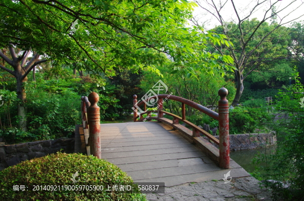 樹林小橋
