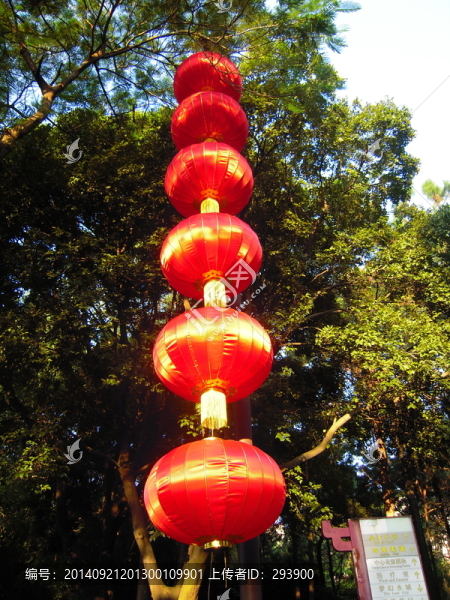 綠樹上的紅燈籠