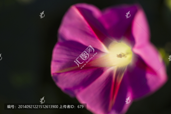 牽?；? title=