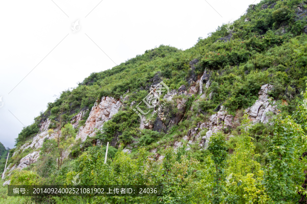 山