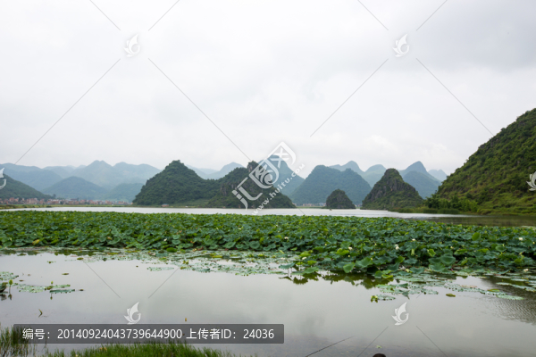 云南普者黑風(fēng)光,萬畝荷塘