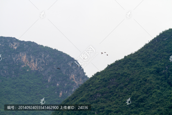 飛鳥(niǎo),天空,群山