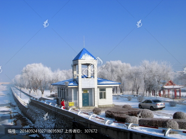 雪中小景
