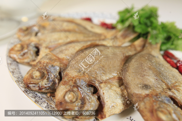 魚