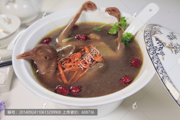 蟲草花燉乳鴿