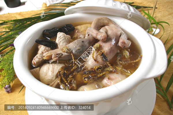 蝎子野生靈芝燉水鴨