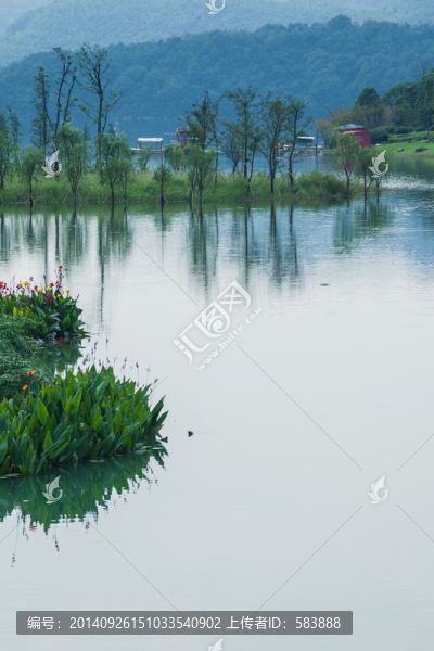 寧波九龍湖濕地公園