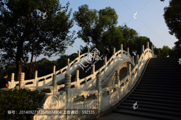 橋
