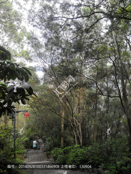 深圳南山臺(tái)階,林徑小路