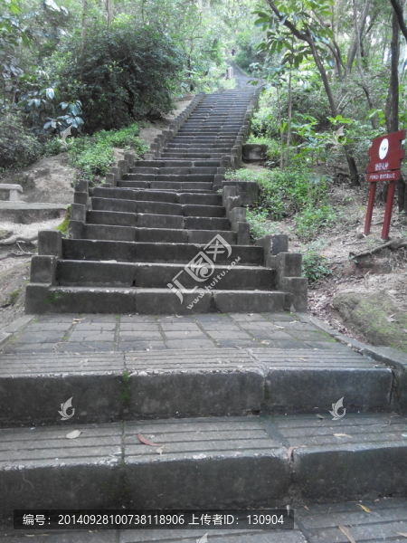 深圳南山臺階,林徑小路