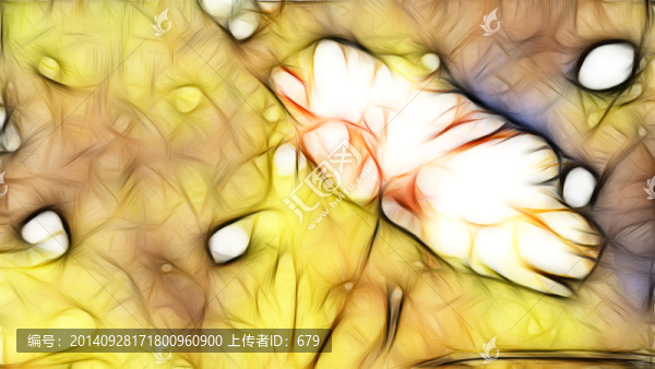 裝飾畫,花兒
