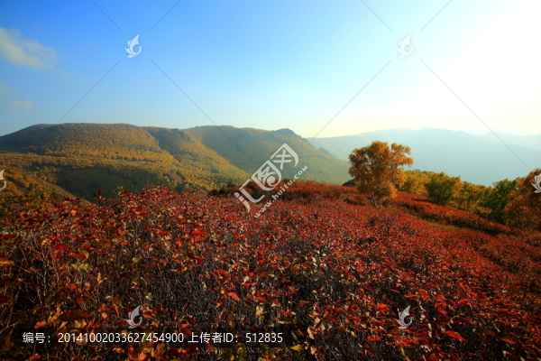 井兒梁