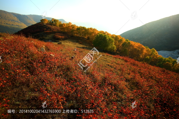 井兒梁