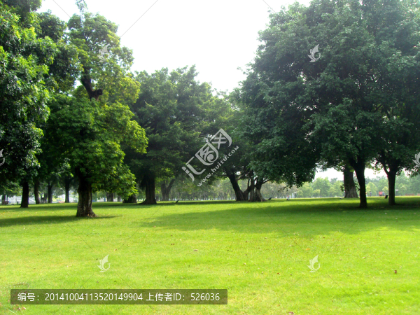 生態(tài)公園