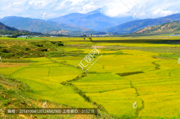 田園風(fēng)光