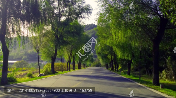 秋日的公路