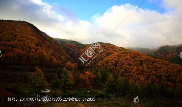 蘇木山