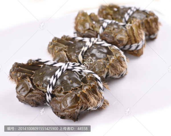 大閘蟹,陽(yáng)澄湖大閘蟹