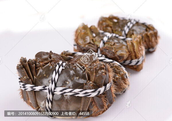 大閘蟹,陽澄湖大閘蟹