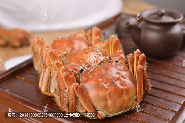 大閘蟹,陽澄湖大閘蟹