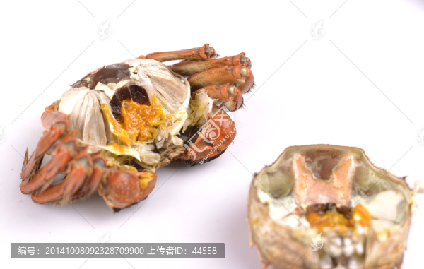 大閘蟹,陽澄湖大閘蟹