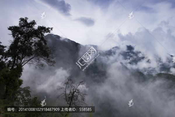云南高黎貢山,水霧