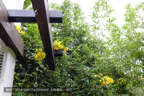 木長廊
