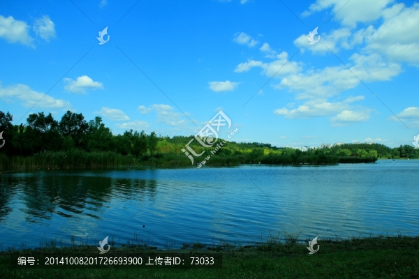 湖邊,,濕地,藍天,晴天