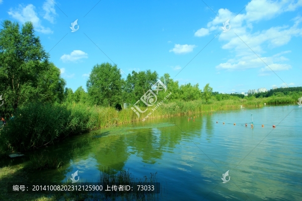 I濕地,湖水