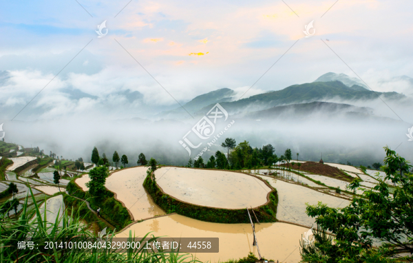 梯田