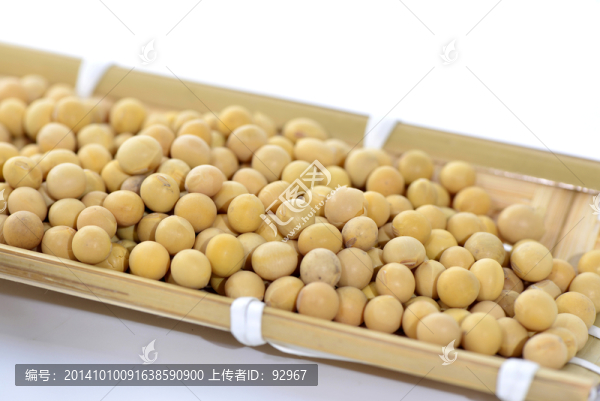 大豆