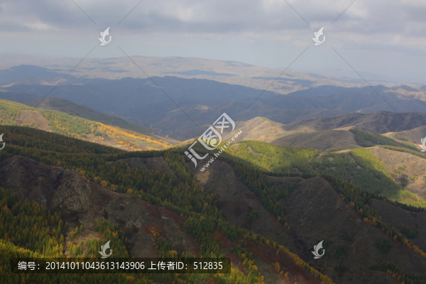 蘇木山