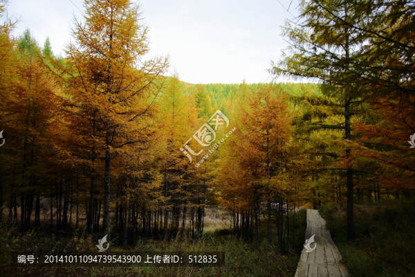 蘇木山