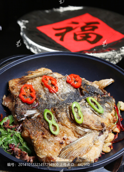 紅福大魚頭