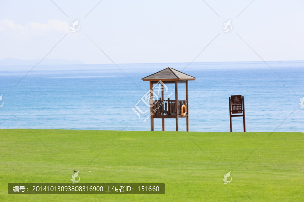 海邊草地