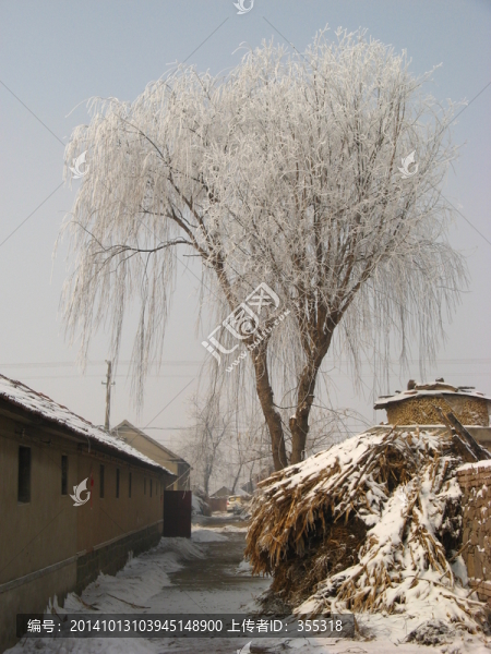 雪景,冬天,河流,橋,房頂
